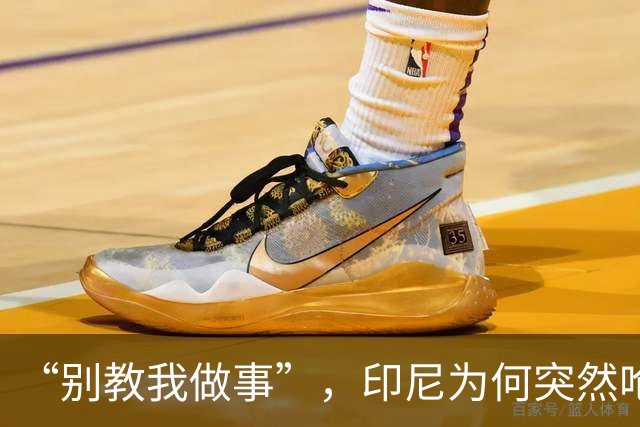 “别教我做事”，印尼为何突然呛声新加坡？