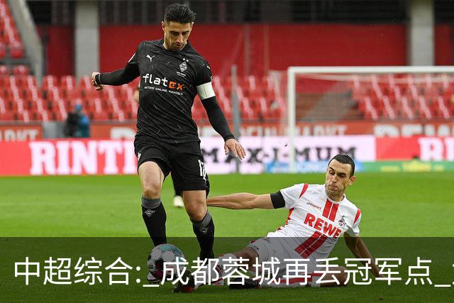 中超综合: 成都蓉城再丢冠军点 武汉三镇降级