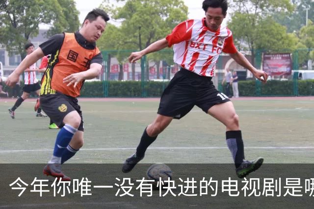 今年你唯一没有快进的电视剧是哪个？网友:不仅不快进还会暂停