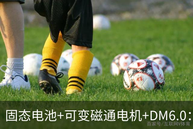 固态电池+可变磁通电机+DM6.0：比亚迪最狠的技术，方程豹先用