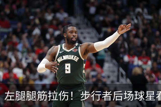 左腿腿筋拉伤！步行者后场球星看起来需要休战一段时间？
