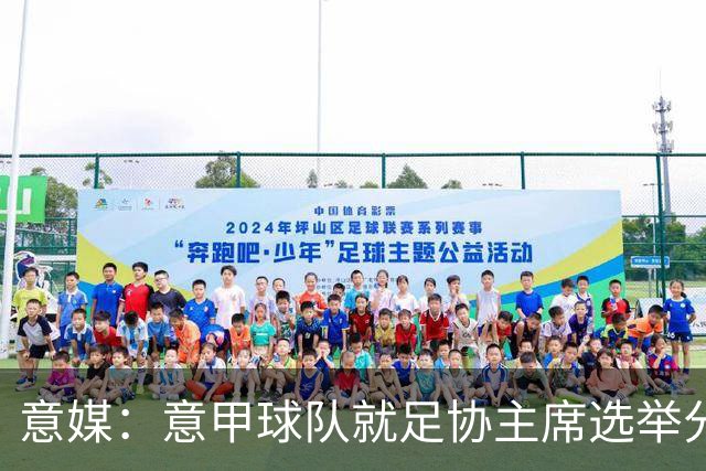 意媒：意甲球队就足协主席选举分为马拉戈、加利亚尼两个阵营