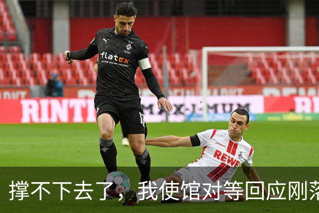 撑不下去了，我使馆对等回应刚落下，菲请求运送物资，中方：批准