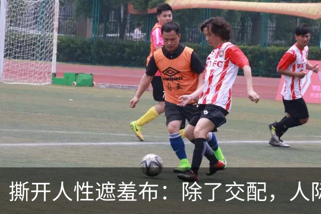 撕开人性遮羞布：除了交配，人际关系全是交易