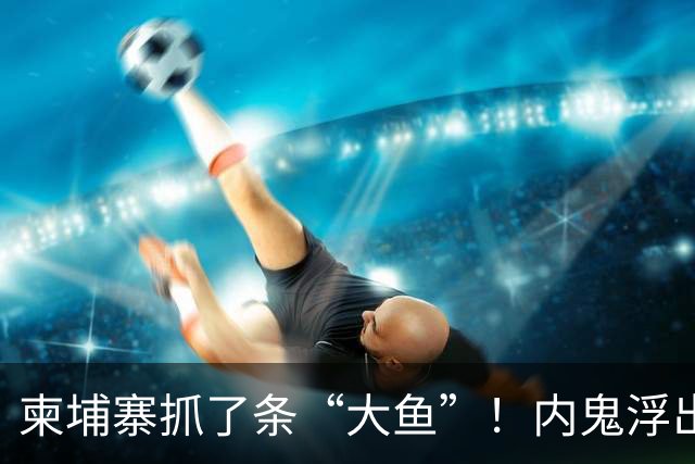 柬埔寨抓了条“大鱼”！内鬼浮出水面，竟是我们信任的商会长？