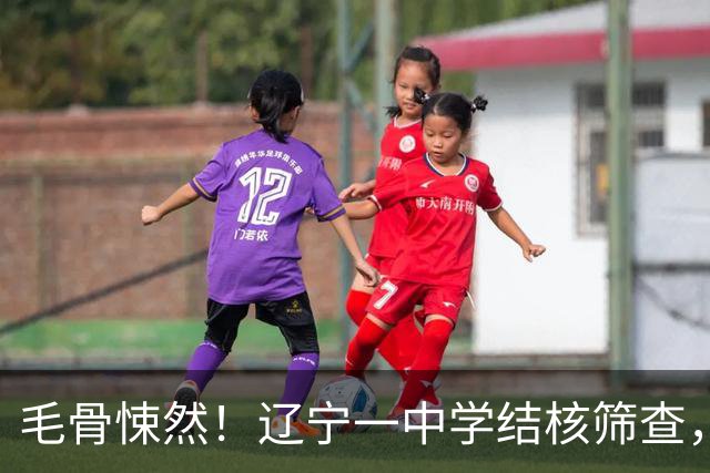 毛骨悚然！辽宁一中学结核筛查，一名医护共用针头给78名学生皮试，胡锡进指出“康平县是沈阳的下辖县，发展水平在沈阳市垫底”