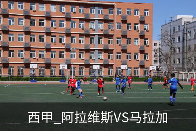 西甲 阿拉维斯VS马拉加