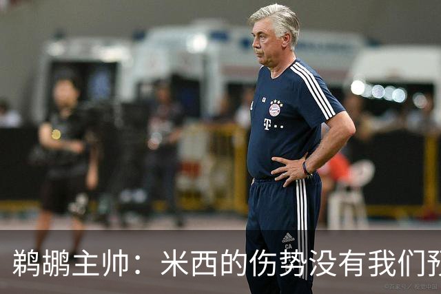 鹈鹕主帅：米西的伤势没有我们预想的那么严重